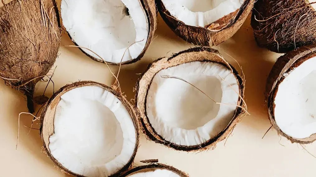 Coconut
