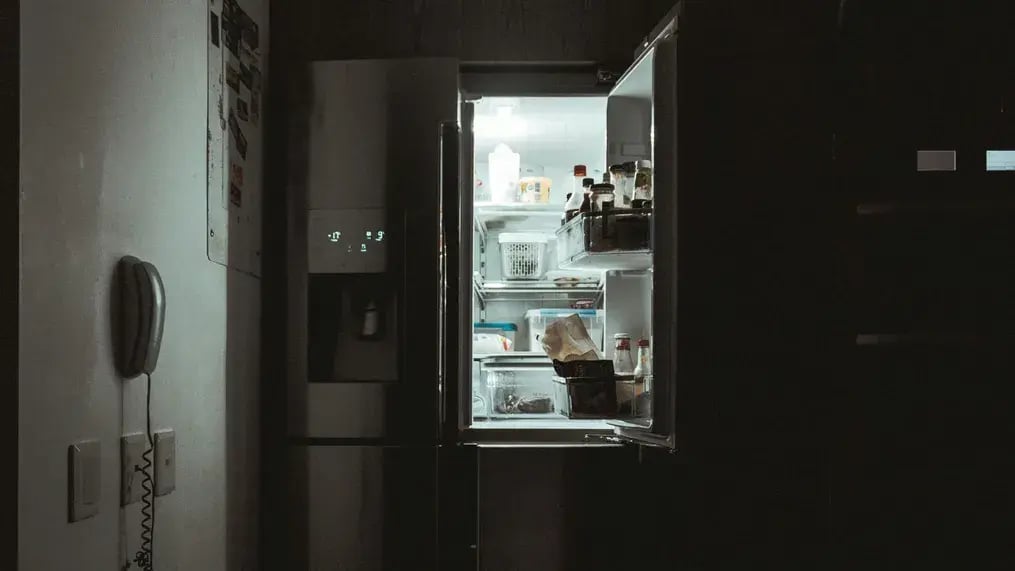 Fridge