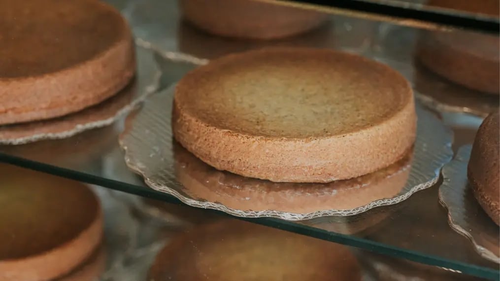 Best Sponge Cake Recipes