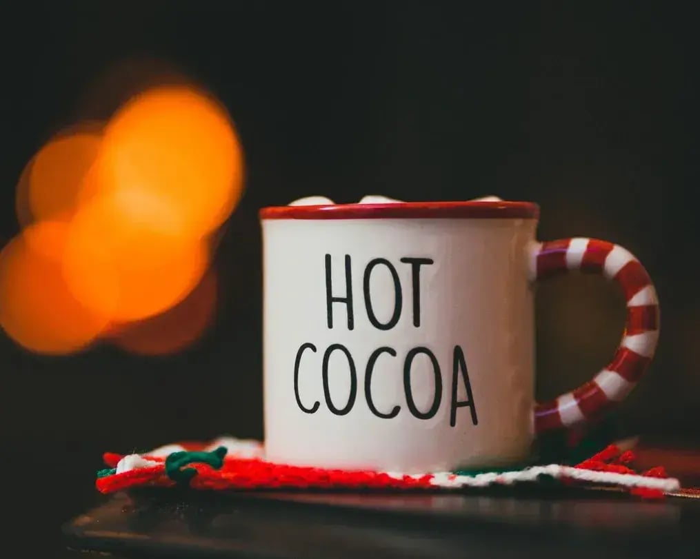 Chocolate Mug Cake