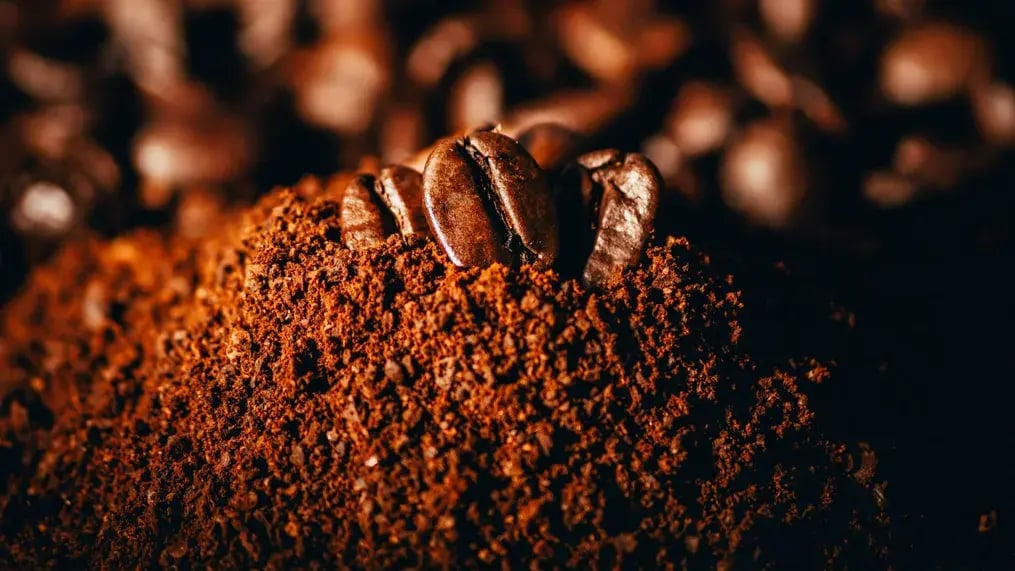 Cocoa Powder.
