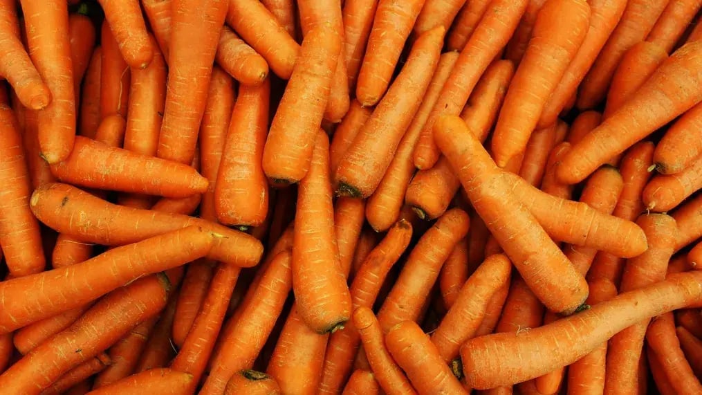 Carrots