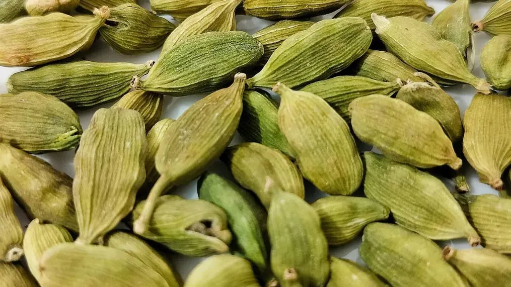 Cardamom