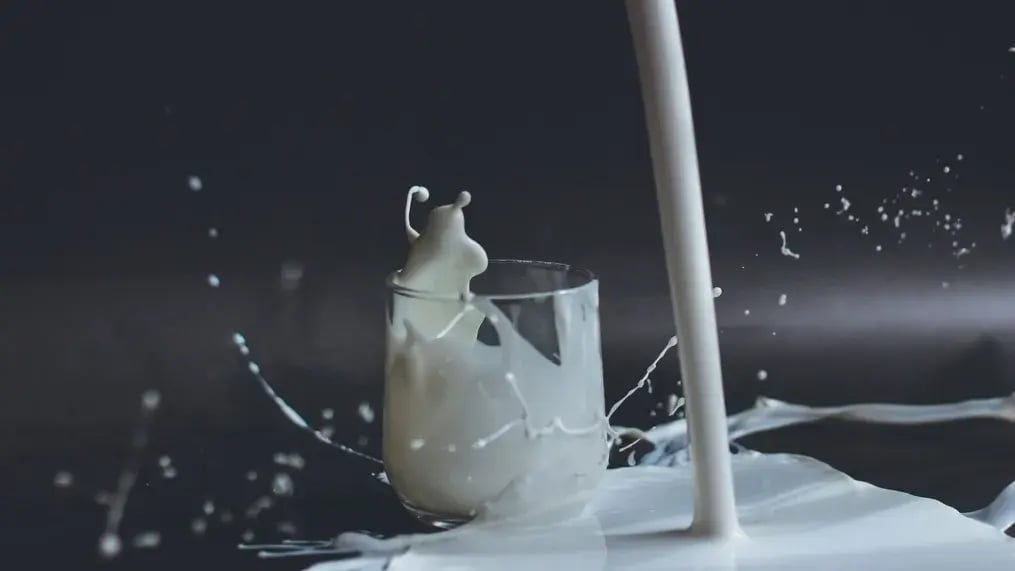 Milk