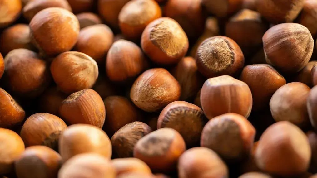 Toasted Hazelnuts