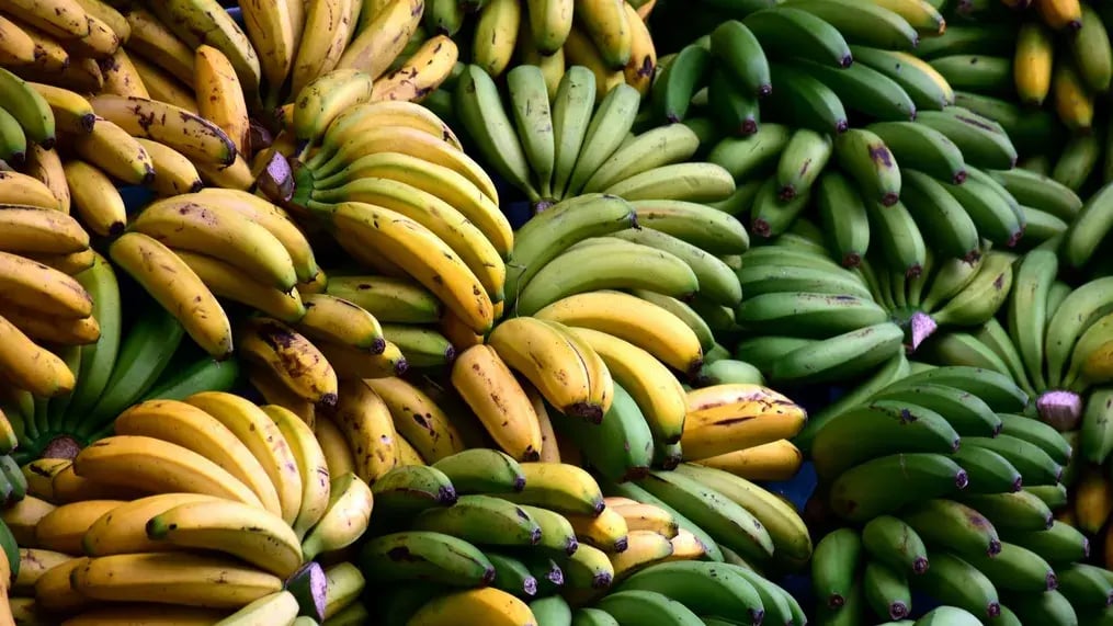Ripe Bananas
