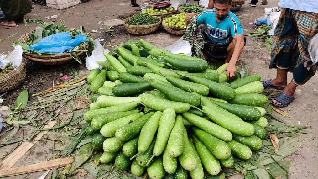 Lauki (Bottle Gourd) Kheer