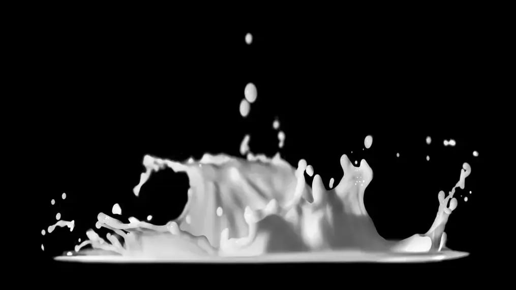 plant based milk