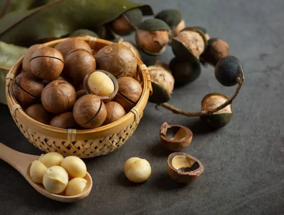 7 Ways On How To Incorporate Macadamia Nuts Into Hawaiian Desserts
