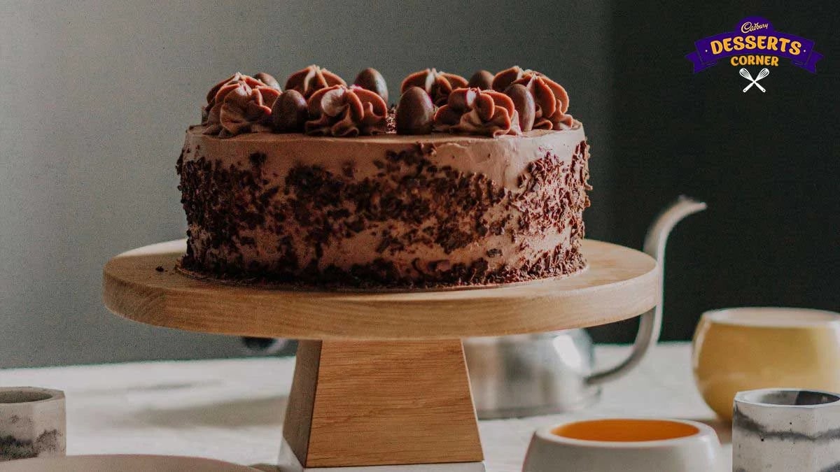 Chocolate Sponge Cake
