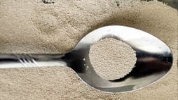 Active Vs. Instant Yeast: Which Is Best For Your Baking?