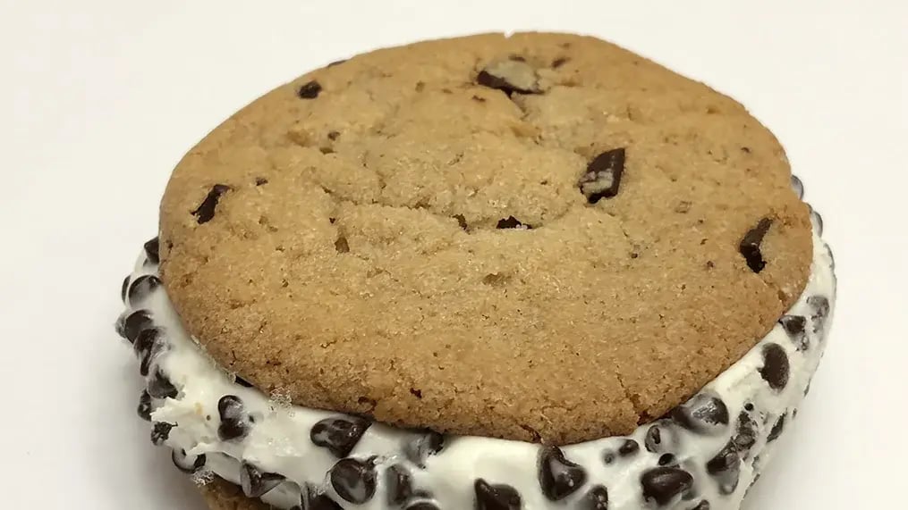 Any season is ice cream sandwich season with Cadbury - Cadbury Oreo Ice Cream Sandwich