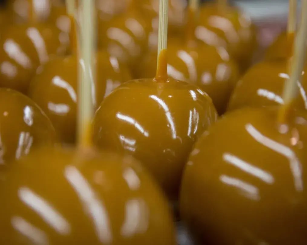 Chocolate Covered Candy Sticks