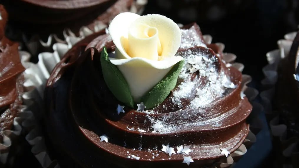 Chocolate Cupcake Designs