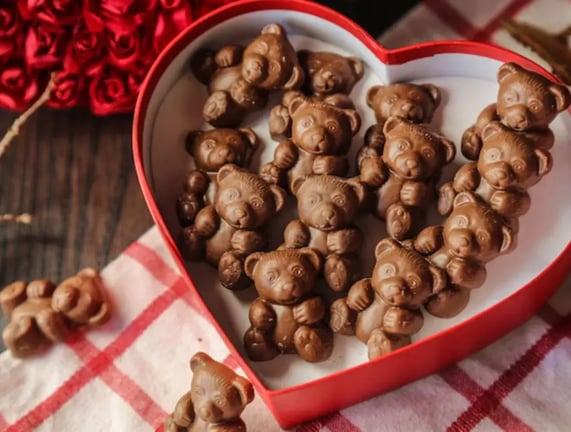 Chocolate Dessert Combos: Cheesecake, Donuts, and Cookies for the Perfect Chocolate Day 