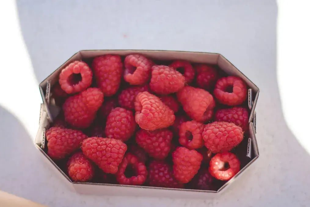 Fresh Raspberry