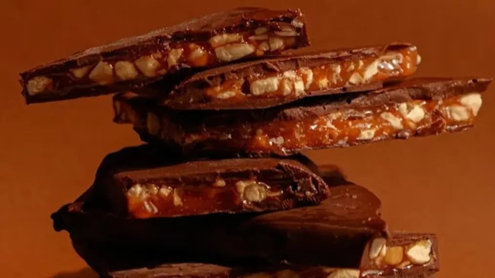 chocolate-bark-with-cranberries-2