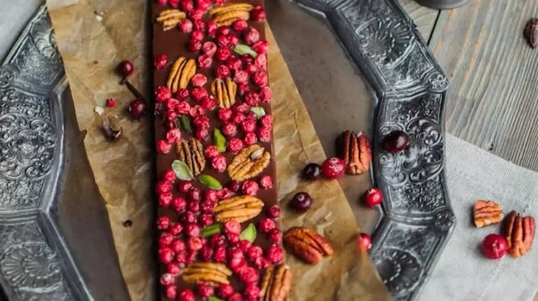 chocolate bark with cranberries