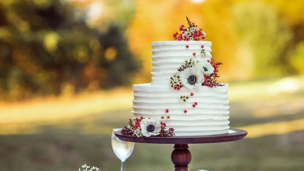 Engagement Cake Designs
