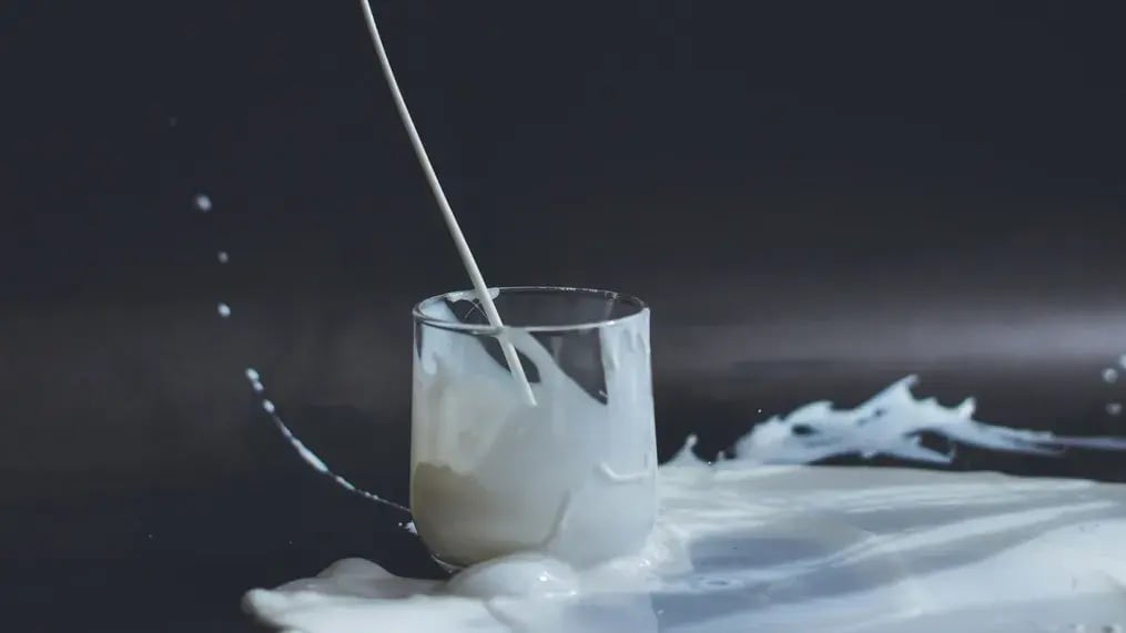 Milk