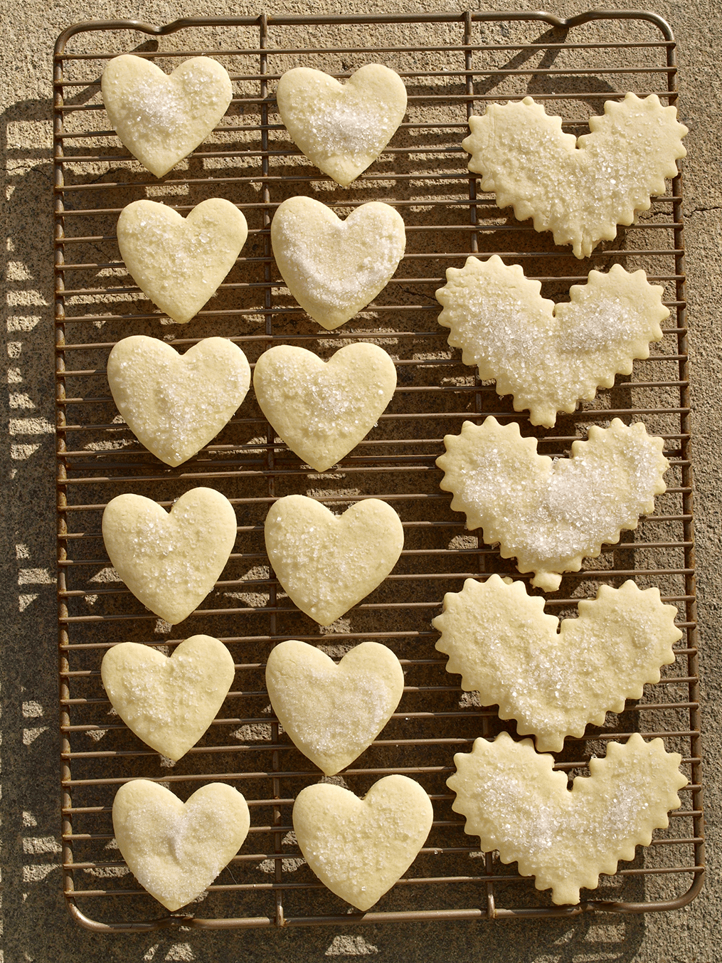 nature-inspired-sugar-cookies-1