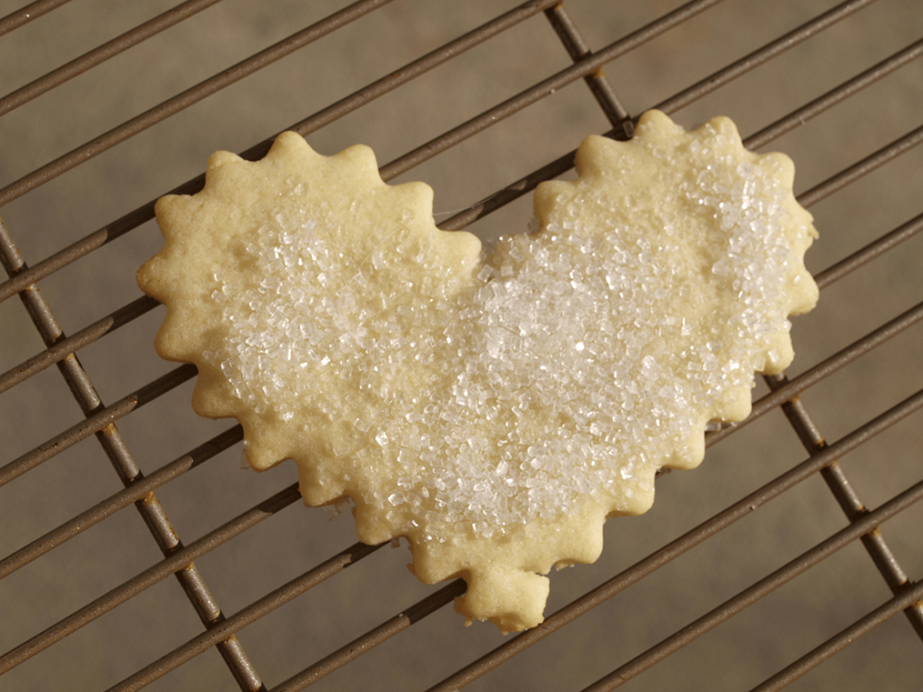 nature-inspired-sugar-cookies