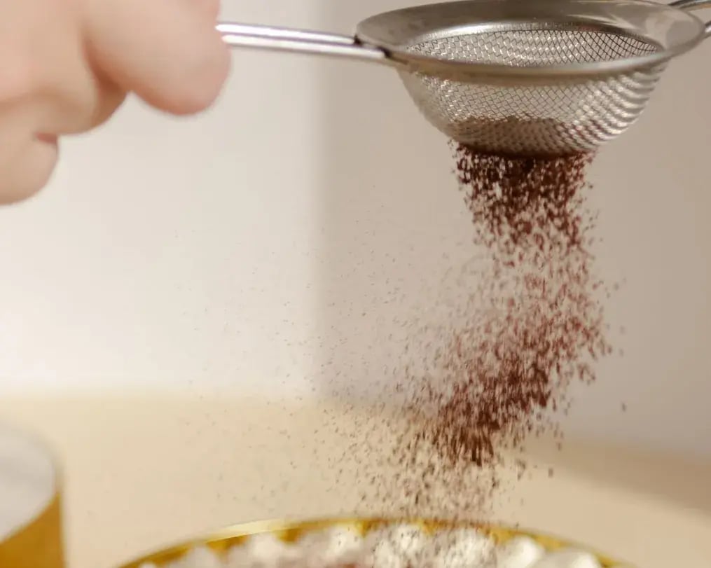 Cocoa Dusting On Sorbet