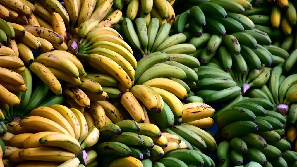 Banana