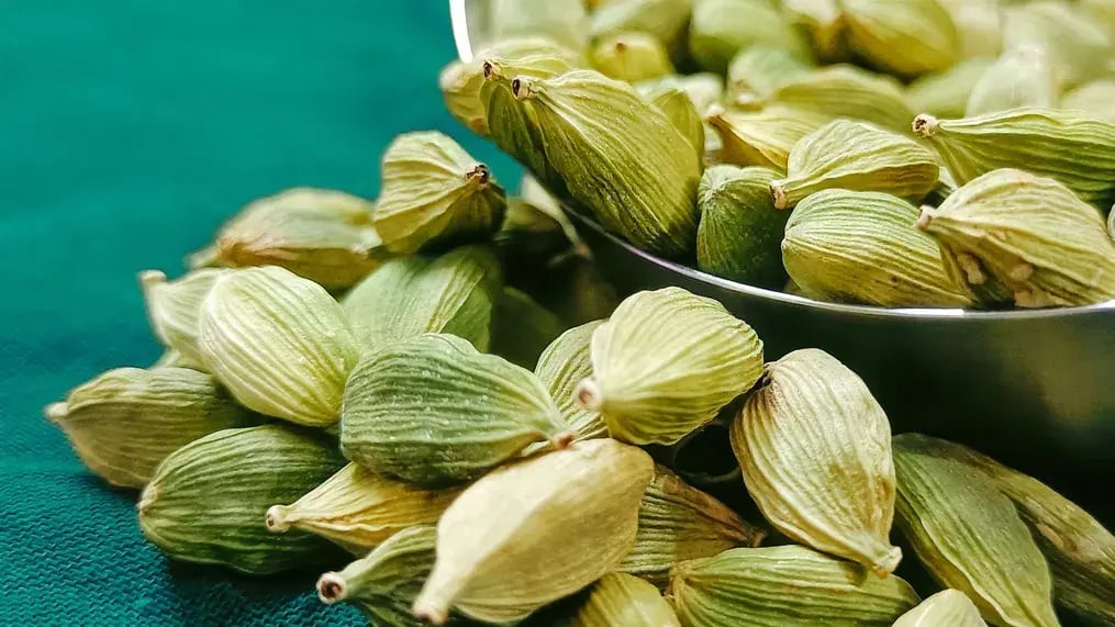 Cardamom