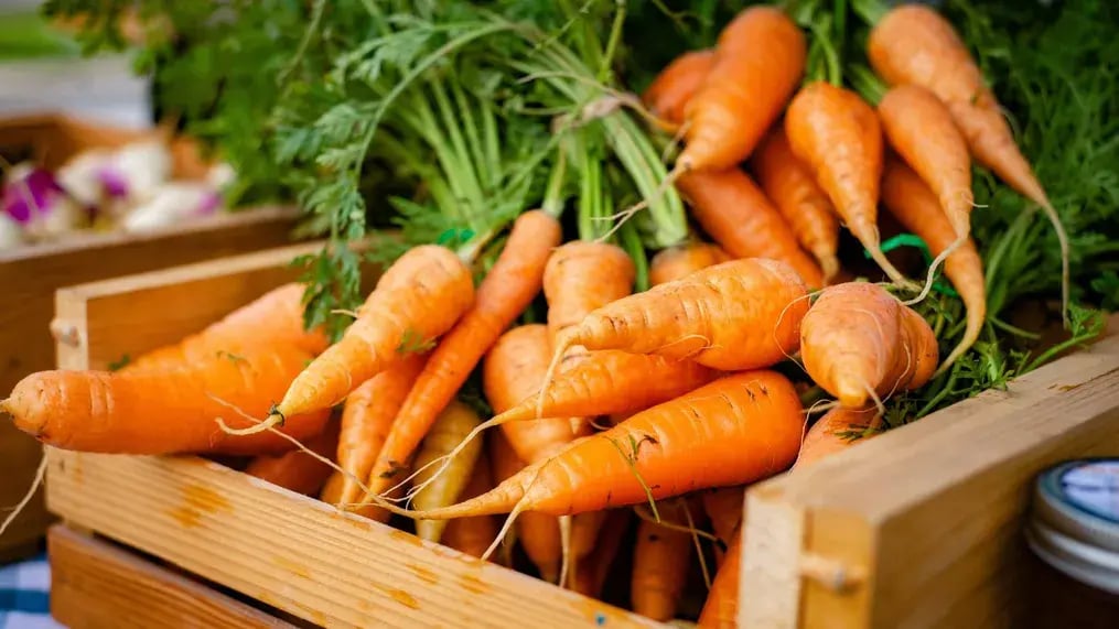 The carrots