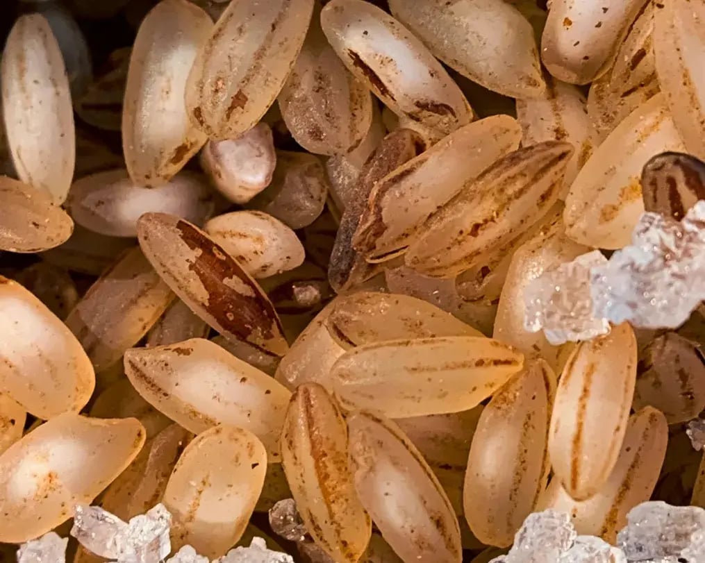 Almond Slivers Flavor Variations Closeup