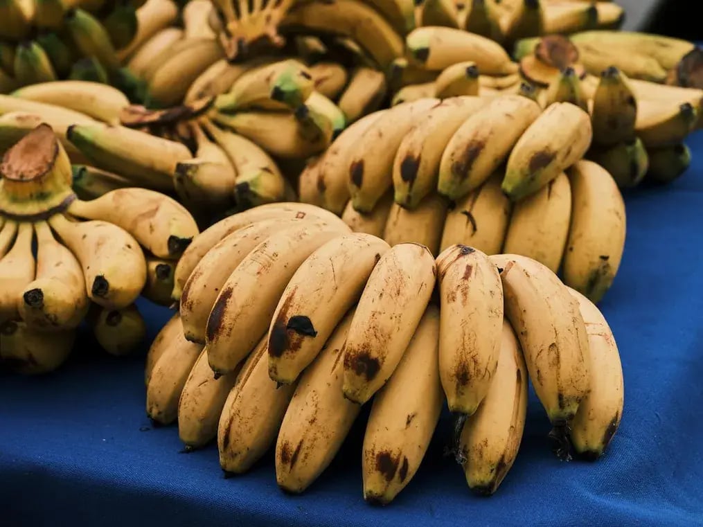 Why Incorporate Bananas to Children's Diet