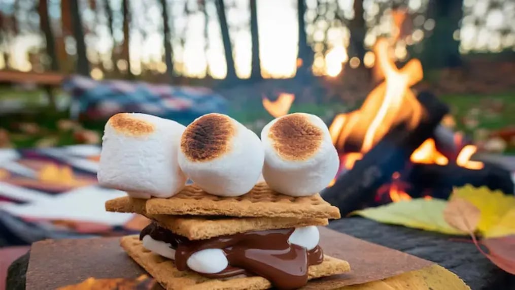 Marshmallow Magic: Fun Dessert Recipes for Kids and Grown-Ups - Introduction