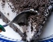 Milkmaid Almond Dessert with No-Bake Oreo Crust