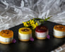 Mini Cheesecake Bites: Perfect Friendship Day Treats in Just One Bite