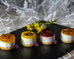 Mini Cheesecake Bites: Perfect Friendship Day Treats in Just One Bite