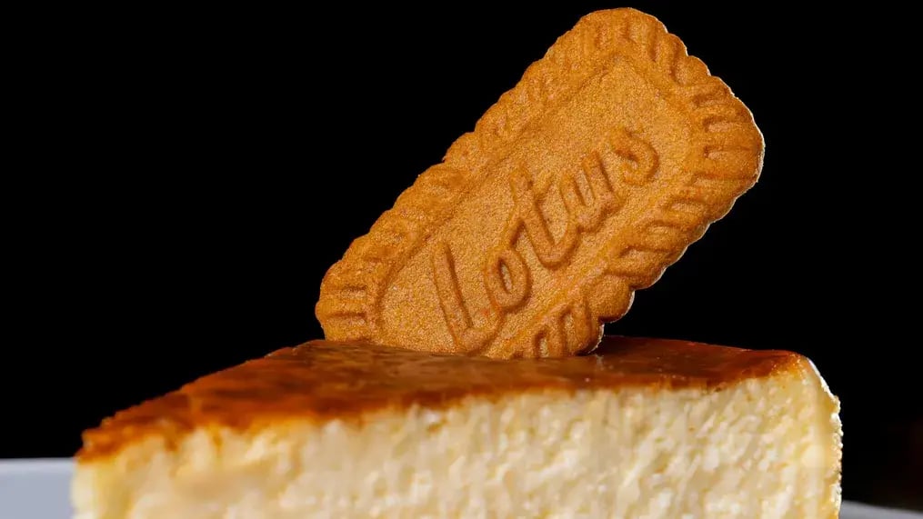 Moist and magical lotus cake that will amaze you - lotus biscoff cake image 1