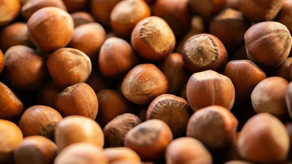 hazelnuts