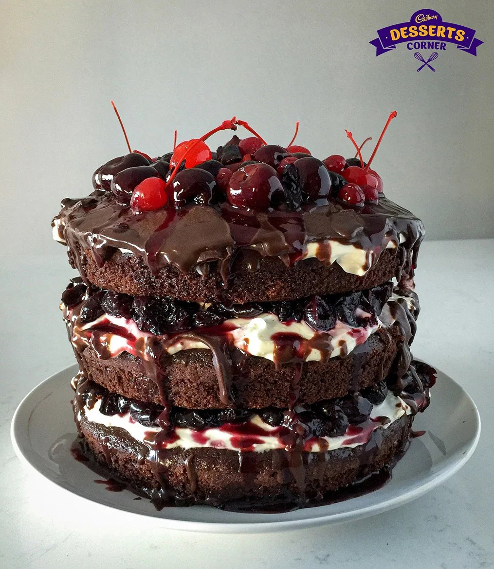 hungarian-chocolate-mousse-cake