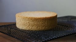 Perfect Cake Texture Guide: Techniques, Tips and Tricks