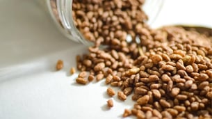 Puffed Rice Chocolate Treats Crunchy Homemade Snacks with Melted Cocoa Goodness