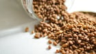 Puffed Rice Chocolate Treats Crunchy Homemade Snacks with Melted Cocoa Goodness