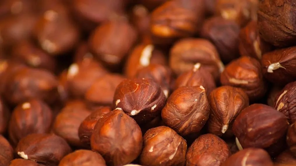Roasted Hazelnuts