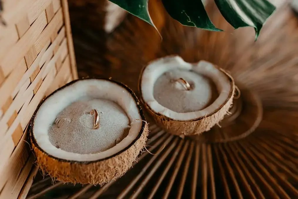 Refreshing Coconut Jelly Pudding – Perfect for a Light, Tropical Dessert - Coconut Jelly Pudding 2