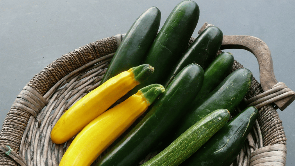 Fresh zucchini