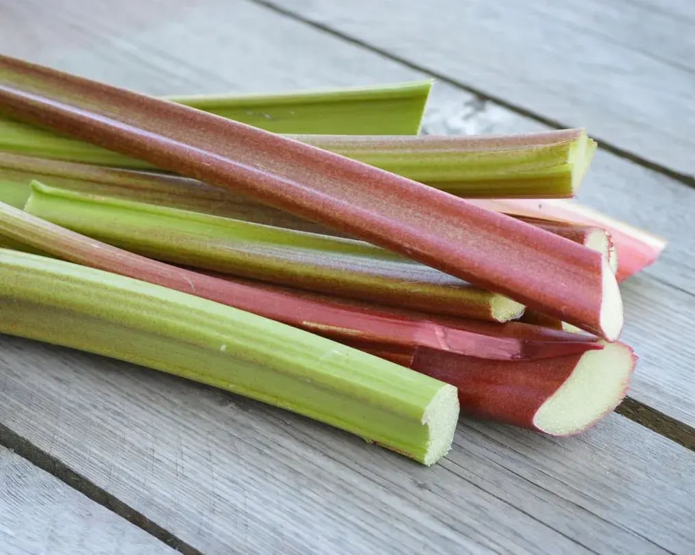 Rhubarb Stems