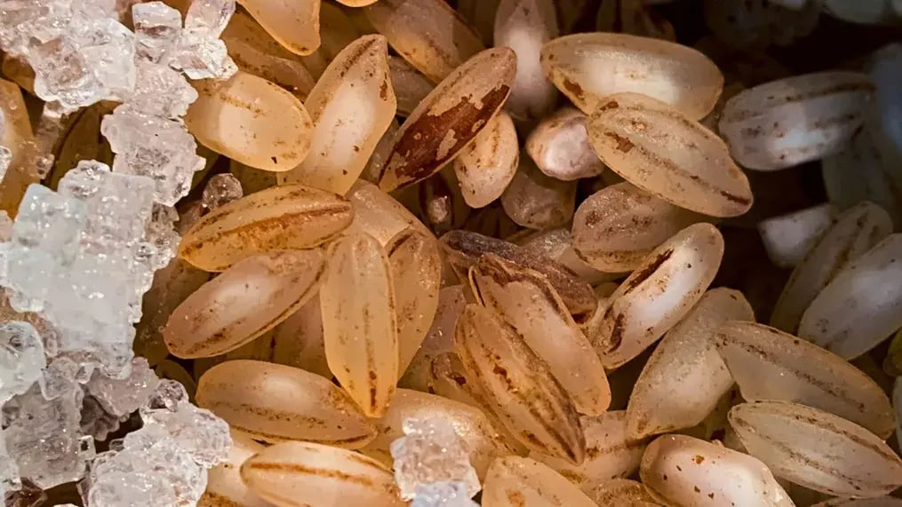 Almond Slivers