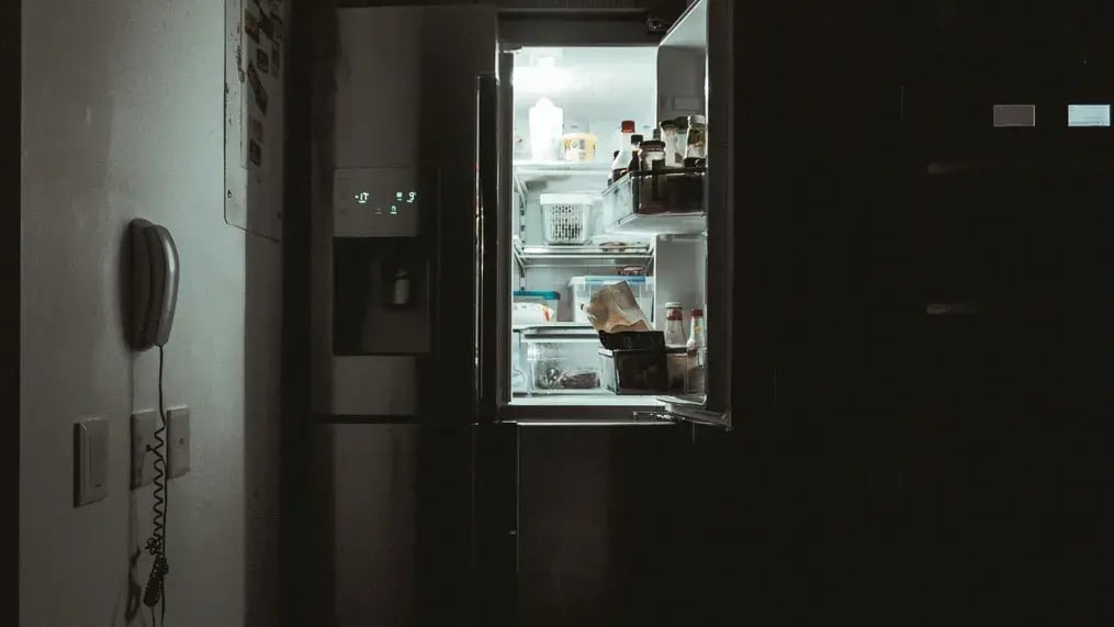 Fridge