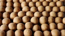 Sunnundalu Recipe: How to Make Andhra-Style Urad Dal ...