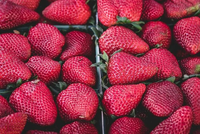 banner-img